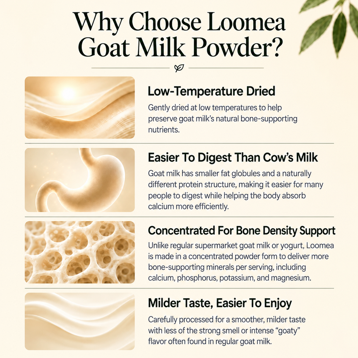 Loomea Goat Milk Powder