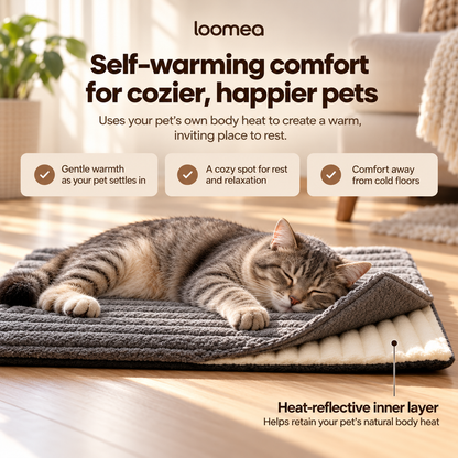 cat heating pad