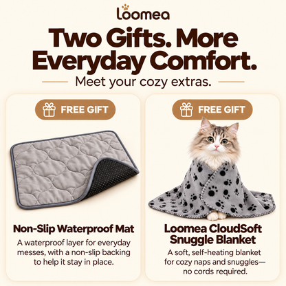 cat heating pad