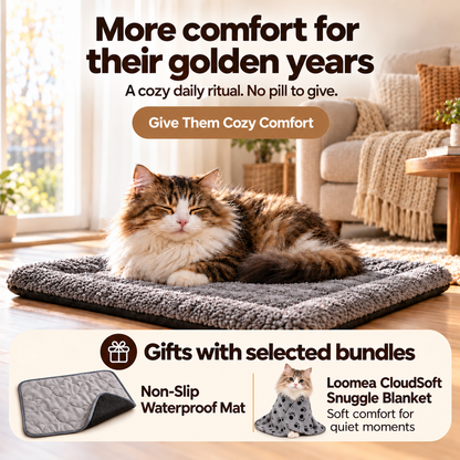 cat heating pad (Copy)