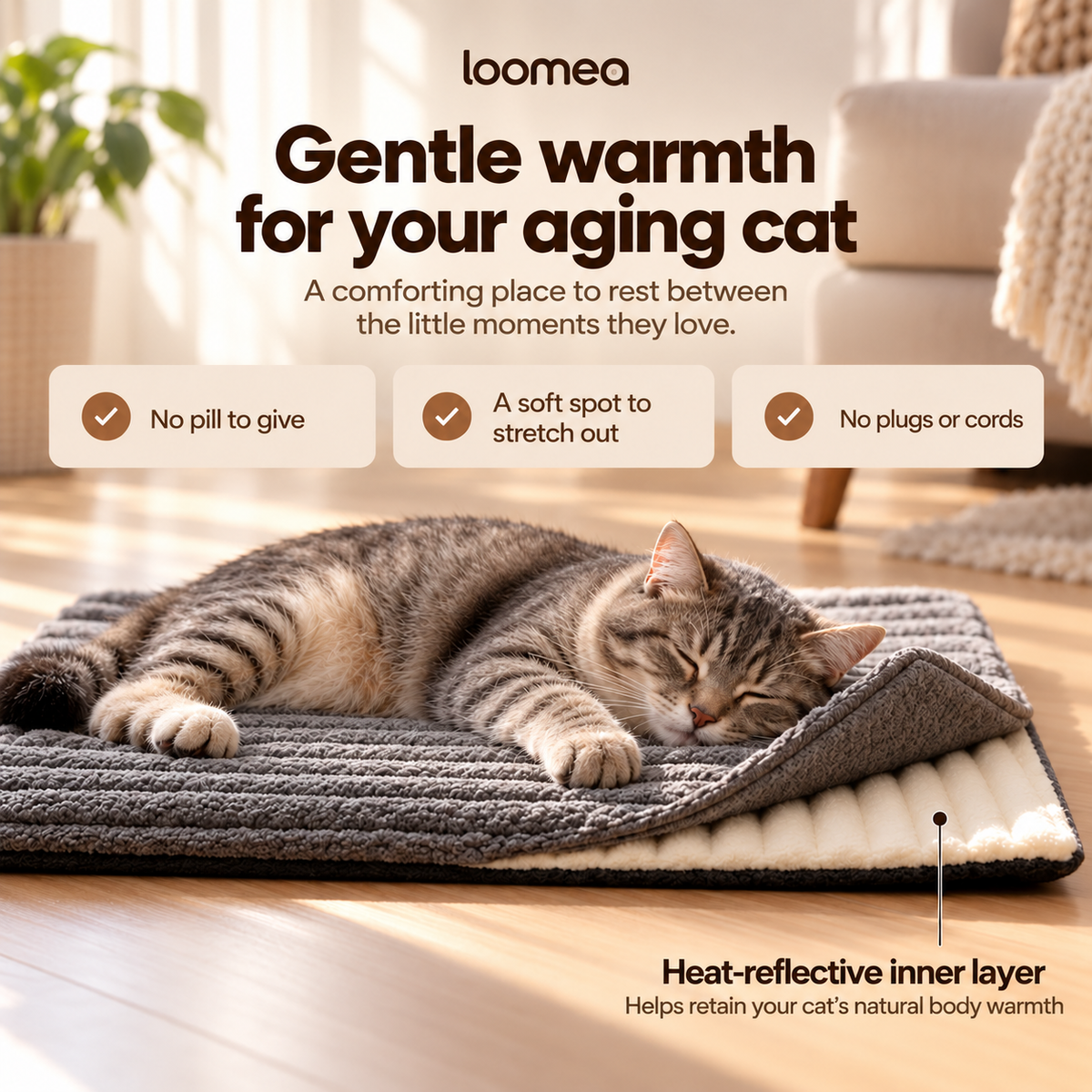 cat heating pad (Copy)