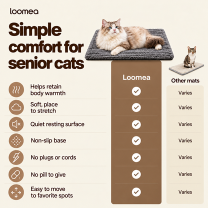 cat heating pad (Copy)